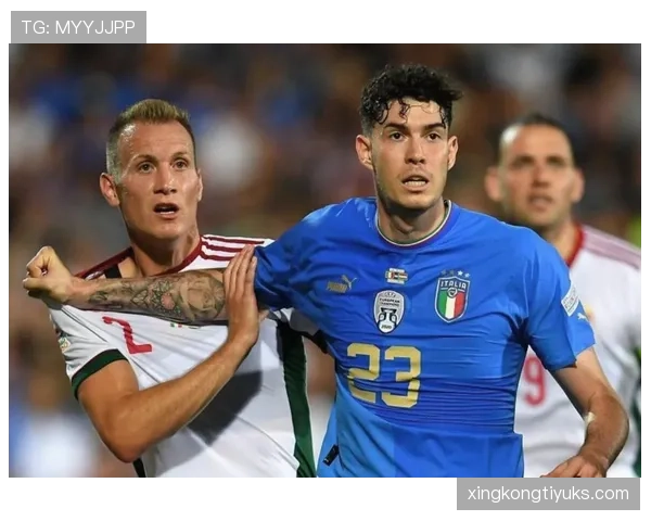 巴斯托尼：意大利国家队后防主力竞争者与轮换价值分析