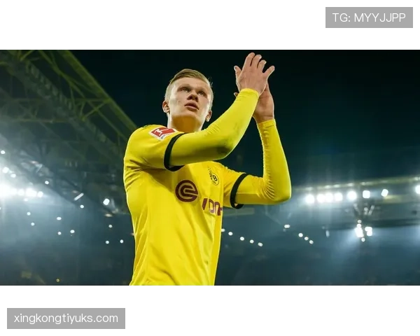 本泽马与哈兰德在终结效率下展现分化趋势